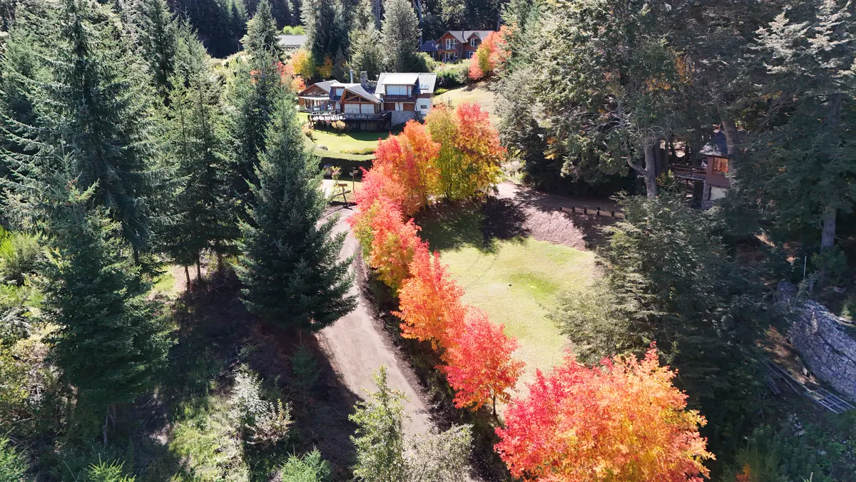 Árboles de colores en otoño junto al camino